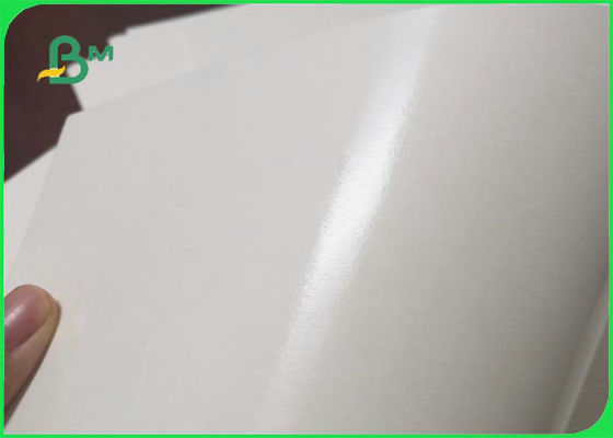FDA White 260gsm 280gsm+ 15g PE Coated Paper For Lunch Box Good Stiffness