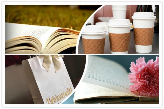 FSC Food Grade UWF Uncoated Woodfree Paper 80gsm to 120gsm OBA Free in Reels