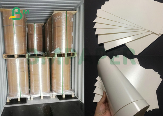 좋은 흡수 230gsm + 18PE CupStock 종이는 종이컵을 위해 한쪽을 입혔습니다