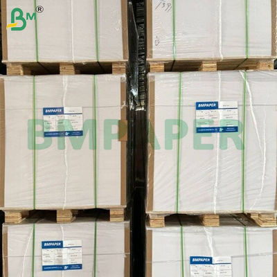 200gsm+10gsm 내열 PE 코팅 컵 스톡 종이 시트