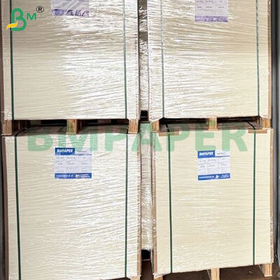 350gsm 유성 방지 단면 코팅 백색 카드보드 시트