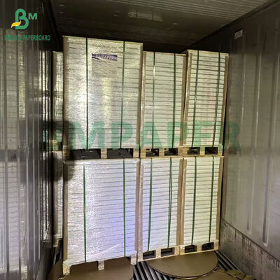 900 X 640MM 250Gr 300Gr 단면 코팅 SBS 용지 (식품 포장용)