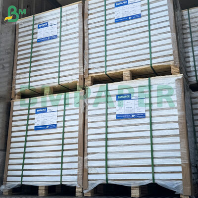 250/300gsm 양면 유광 포스터 용지 시트 787mm*1092mm