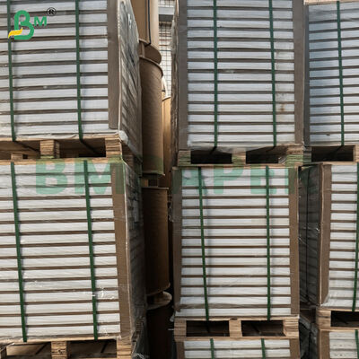 170gsm Double Side Glossy Paper Rolls for Magazine Printing