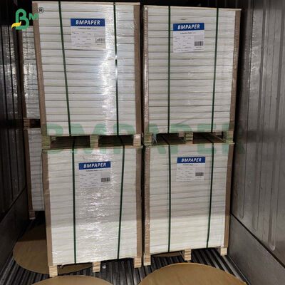 PE15mic One Side PE Coated Cupstock Paper 170-320gsm For Cold & Hot Drinking Paper Cups