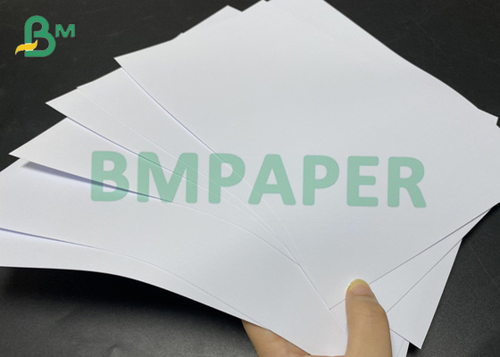 260gsm 사진지 610 밀리미터 Ｘ 432 밀리미터는 잉크 잉크젯 프린팅을 금식시킵니다