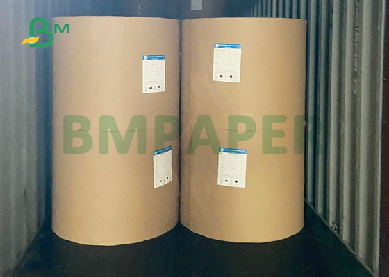 CUPP1S 230gsm + 찬 음료 컵 880mm를 위한 15g PE 광택지 900mm