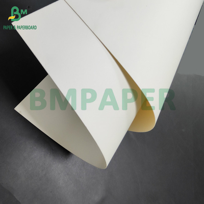 300gm + 15g PE 코팅 식품용 종이 점심 용기 700 x 1000mm