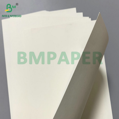 튀긴 닭고기 용기 제조용 PE 코팅 판 260gsm + 15gsm PE