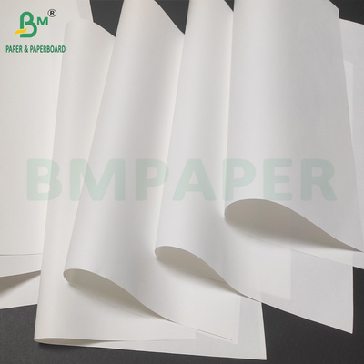 50gm 가벼운 성경 종이 50gm 자연 백색 사전 종이