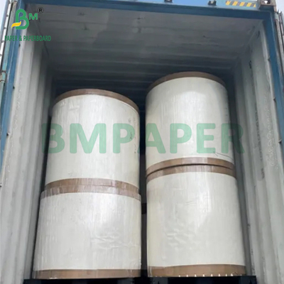 190gm + 15g PE P1S 컵 종이 광택 커피숍용 방수 720mm 880mm