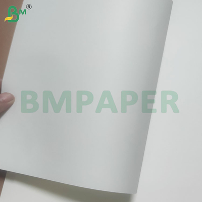 60/120 GSM 맞춤 색상으로 음료용 빨대 종이 롤