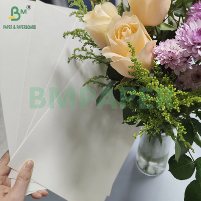 190gm 320gm+15gPE 가루 식품 등급 일회용 뜨거운 커피 컵 종이