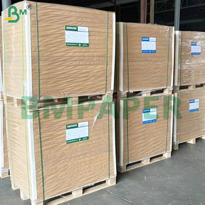 320 GSM 브라운 컵 20 GSM PE 코팅과 함께 스톡 종이 장