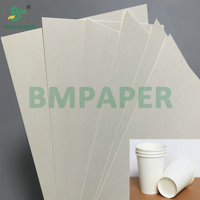 C1S PE 표면 210gsm 230gsm 음료용 컵 종이 컵 덤보 롤