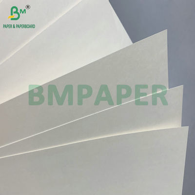 C1S PE 표면 210gsm 230gsm 음료용 컵 종이 컵 덤보 롤