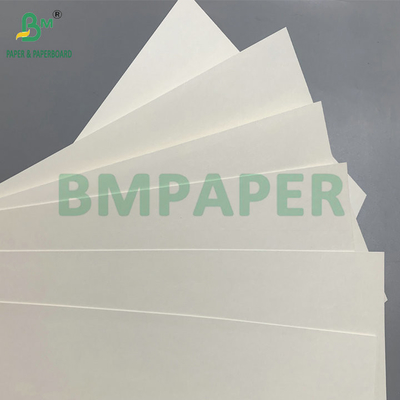 C1S PE 표면 210gsm 230gsm 음료용 컵 종이 컵 덤보 롤