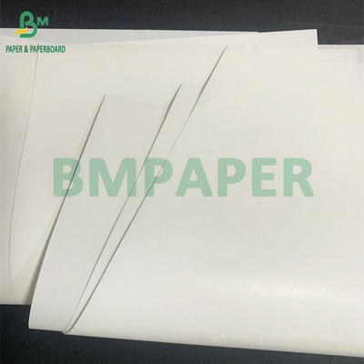 65gm 70gm 물 저항성 습기 강성 맥주 병 라벨을 위한 단일 코팅 빛나는 종이