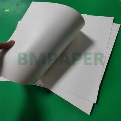 300gm + 15g PE 코팅 된 종이 컵 온도 음료용 스톡 보드 820mm 880mm