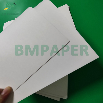 300gm + 15g PE 코팅 된 종이 컵 온도 음료용 스톡 보드 820mm 880mm