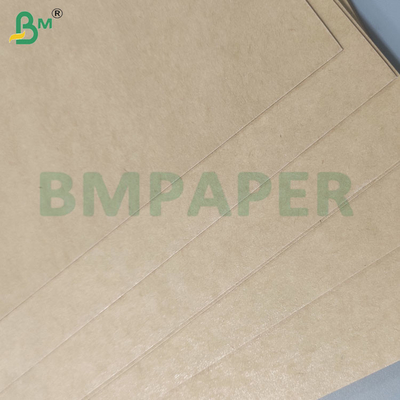 PE 코팅 가공성 백화 된 백색 컵 종이 롤 135gsm-350gsm