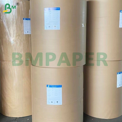 PE 코팅 가공성 백화 된 백색 컵 종이 롤 135gsm-350gsm
