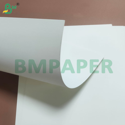 부드럽고 재활용 가능한 백화 된 흰 컵 베이스 종이 롤 230gm