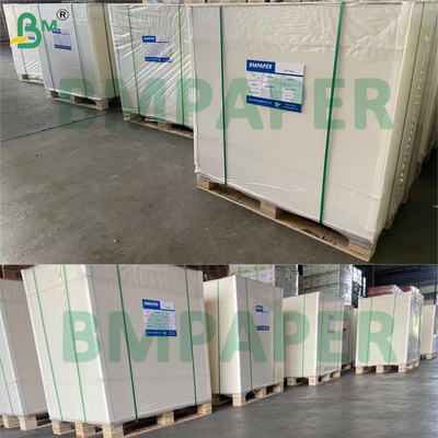 무코팅 표백 SBS 보드 양면 무코팅 400gsm 강성