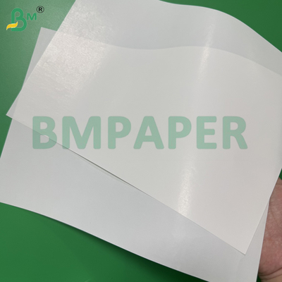 65 - 80gsm 고습윤 강도 백색지 음료 포장 용기 단면 코팅 맥주 라벨 용지