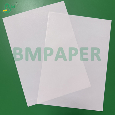 65 - 80gsm 고습윤 강도 백색지 음료 포장 용기 단면 코팅 맥주 라벨 용지