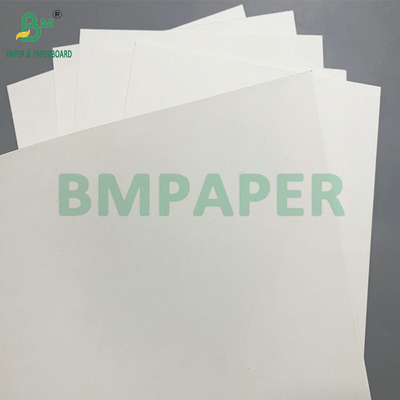 PE 코팅 190 - 350gsm 종이 그릇 - 일회용 종이 그릇에 사용