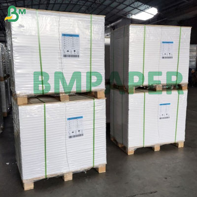 25gm ~ 50gm 가벼운 성서 종이 사전용 초 얇은 인쇄 종이