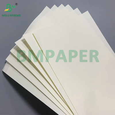 Wood Pulp Eco-Friendly 70g/80g/100g Ivory Woodfree Paper Eye-Friendly
