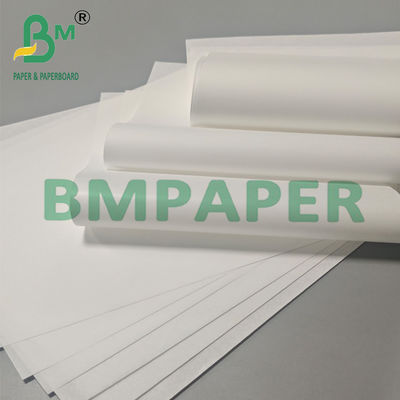 40g 50g 기름 막은 백화 된 고기 포장용 고기 종이 롤 30 x 30cm