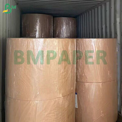Light Brown Kraft Paper For Disposable Paper Bowls 300gsm + 18g PE One Side, PE Coated Food Container Board