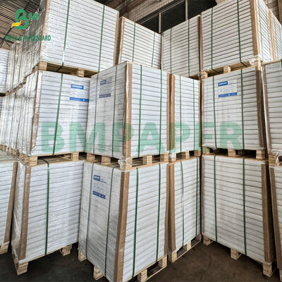 A4/레터 사이즈 75gsm 자체 포함 먹지 - 파란색 또는 검은색 복사본