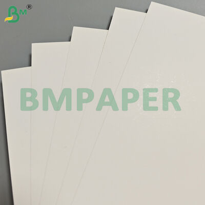 350gsm 고강성 편면 코팅 SBS 백색 종이 판지