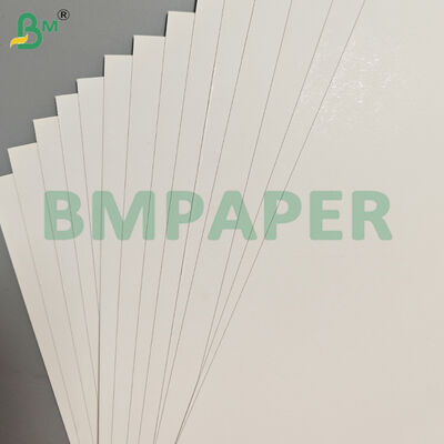 350gsm 고강성 편면 코팅 SBS 백색 종이 판지