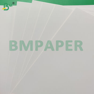 350gm FBB 코끼리 카드보드 선물 포장용 고직성