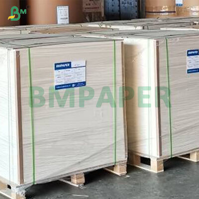 315g + 15g 코팅 된 흰색 식품 등급 PET 종이