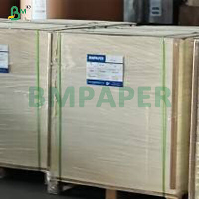 FDA PET 코팅 식품 안전 무독성 종이 시트 고온 내성