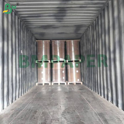 베이킹/치즈케이크 라이너용 투명 컬러 식품 포장지 23gsm