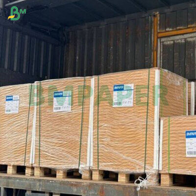 360g 좋은 딱딱함 갈색 CKB 식품 종이판