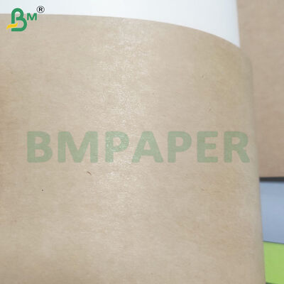 350gsm+10gsm PE 코팅 크라프트 볼/접시 종이 롤 식품 등급