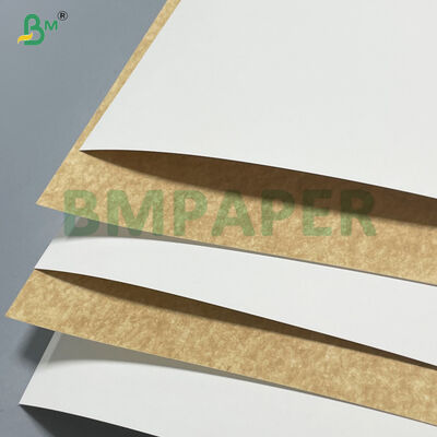 100% 버진 목재 펄프 280gsm 300gsm 식품 용기용 백색 코팅 크라프트지 보드