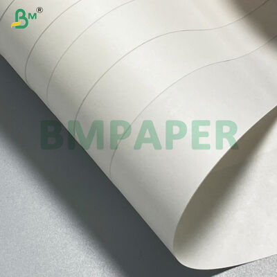 Biodegradable White Kraft Paper Roll & Sheet For Food Packaging Bread Paper Bags 