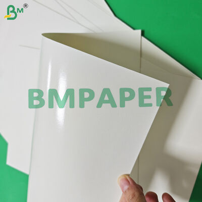 식품 안전 170 - 320gsm + 15g PE 컵스톡 용지 (뜨거운 음료용, 누수 방지, 870mm)