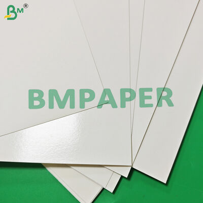 식품 안전 170 - 320gsm + 15g PE 컵스톡 용지 (뜨거운 음료용, 누수 방지, 870mm)