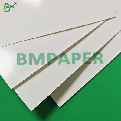 식품 안전 170 - 320gsm + 15g PE 컵스톡 용지 (뜨거운 음료용, 누수 방지, 870mm)