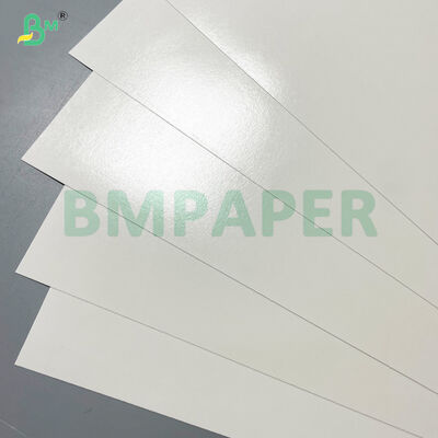 White Kraft Cupstock 15mic PE Coated Paper Sheet Waterproof White Cardboard